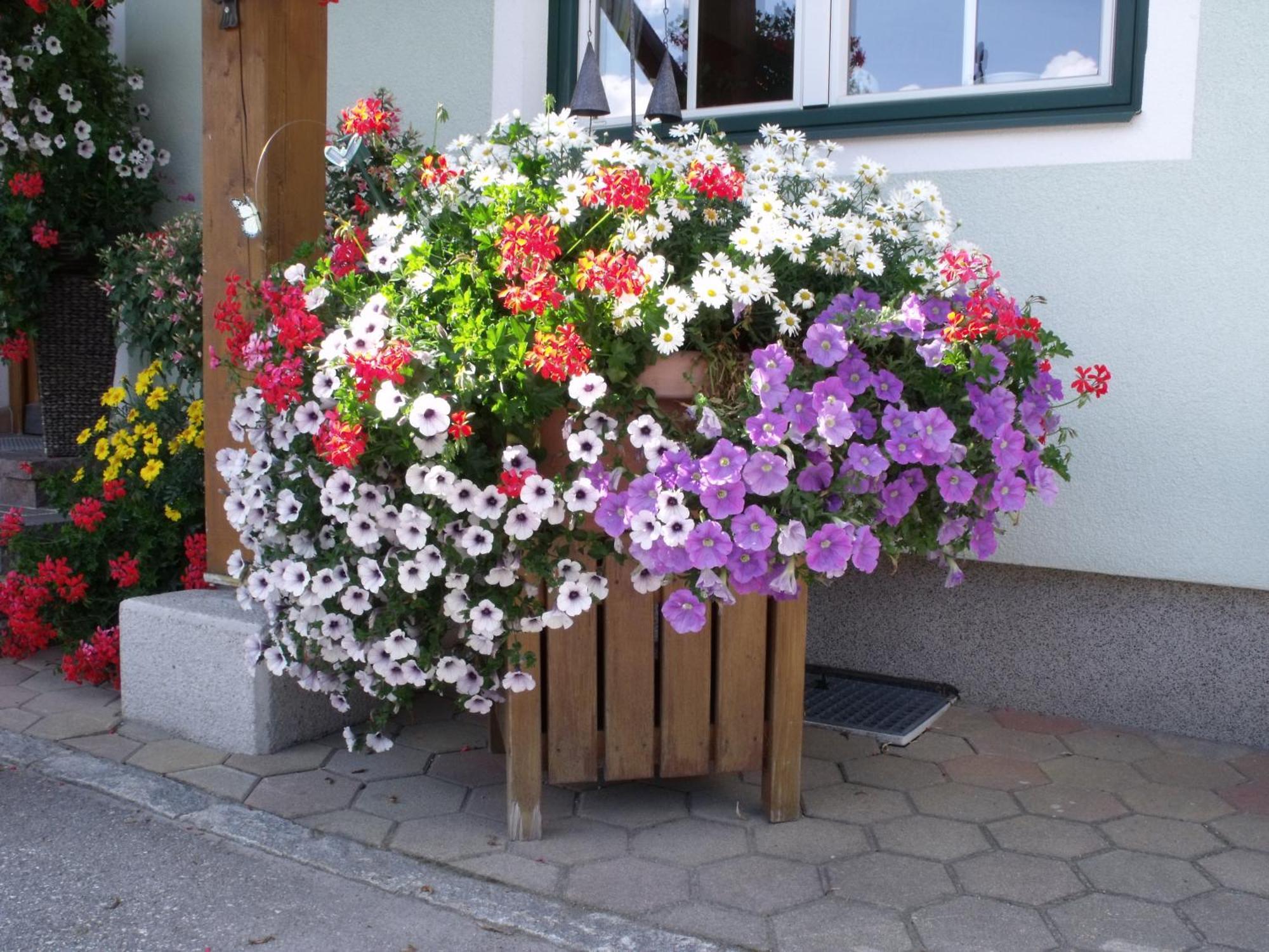 Appartements Bacherhof Schladming Exterior foto